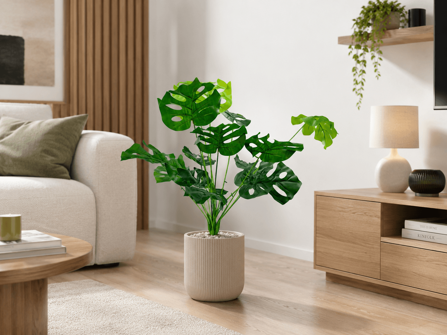 Monstera da arredo