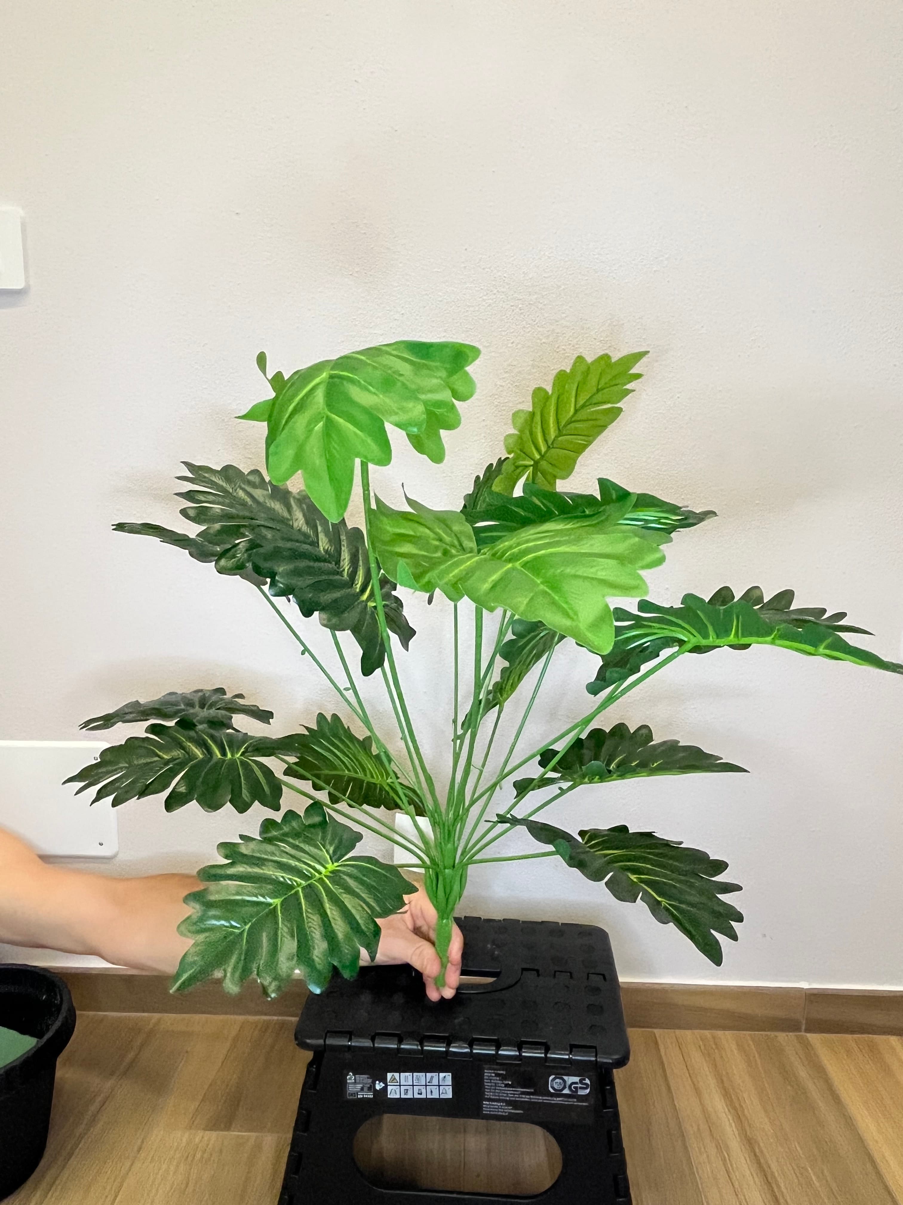 Giungla Tropicale