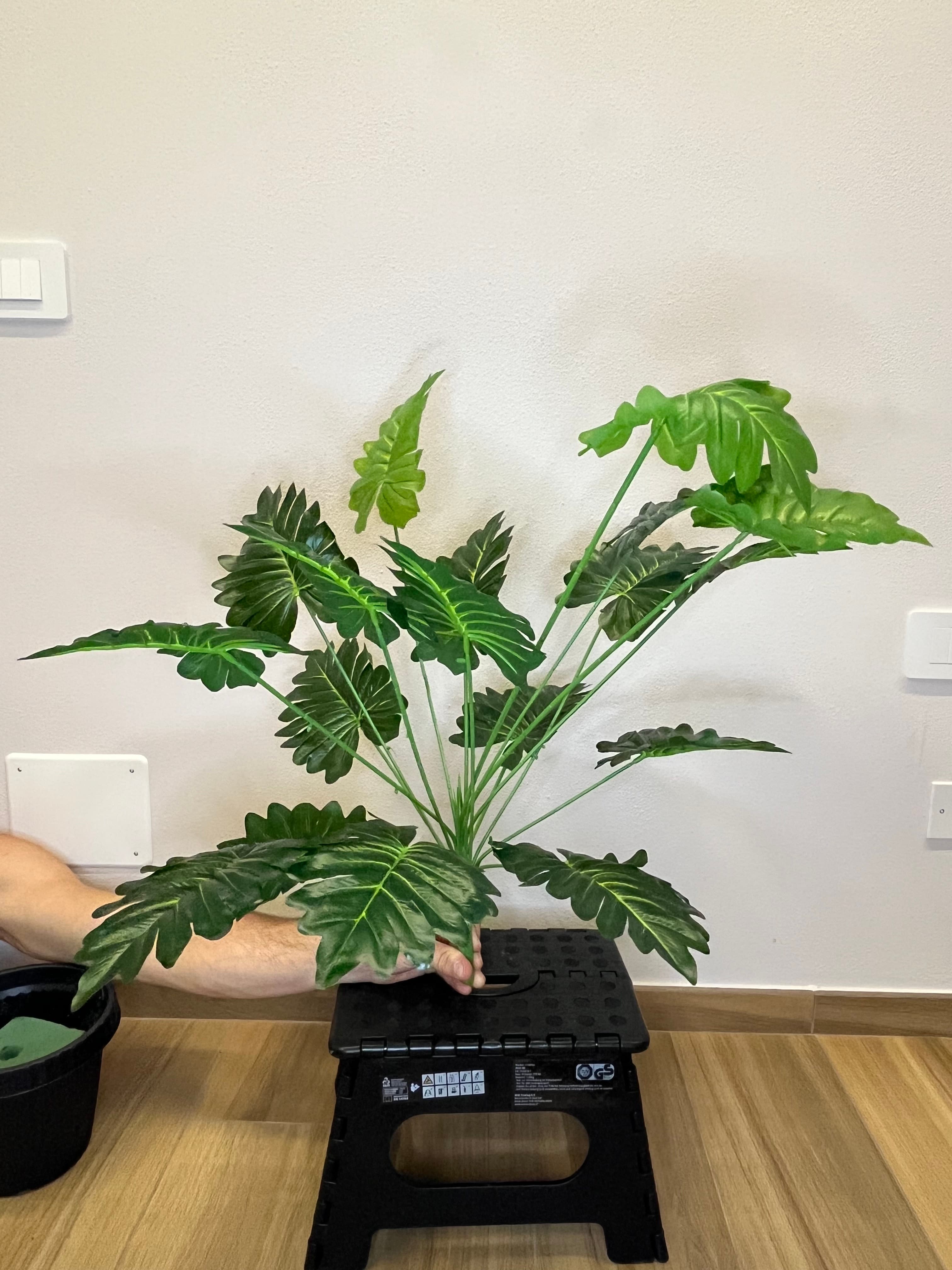 Giungla Tropicale