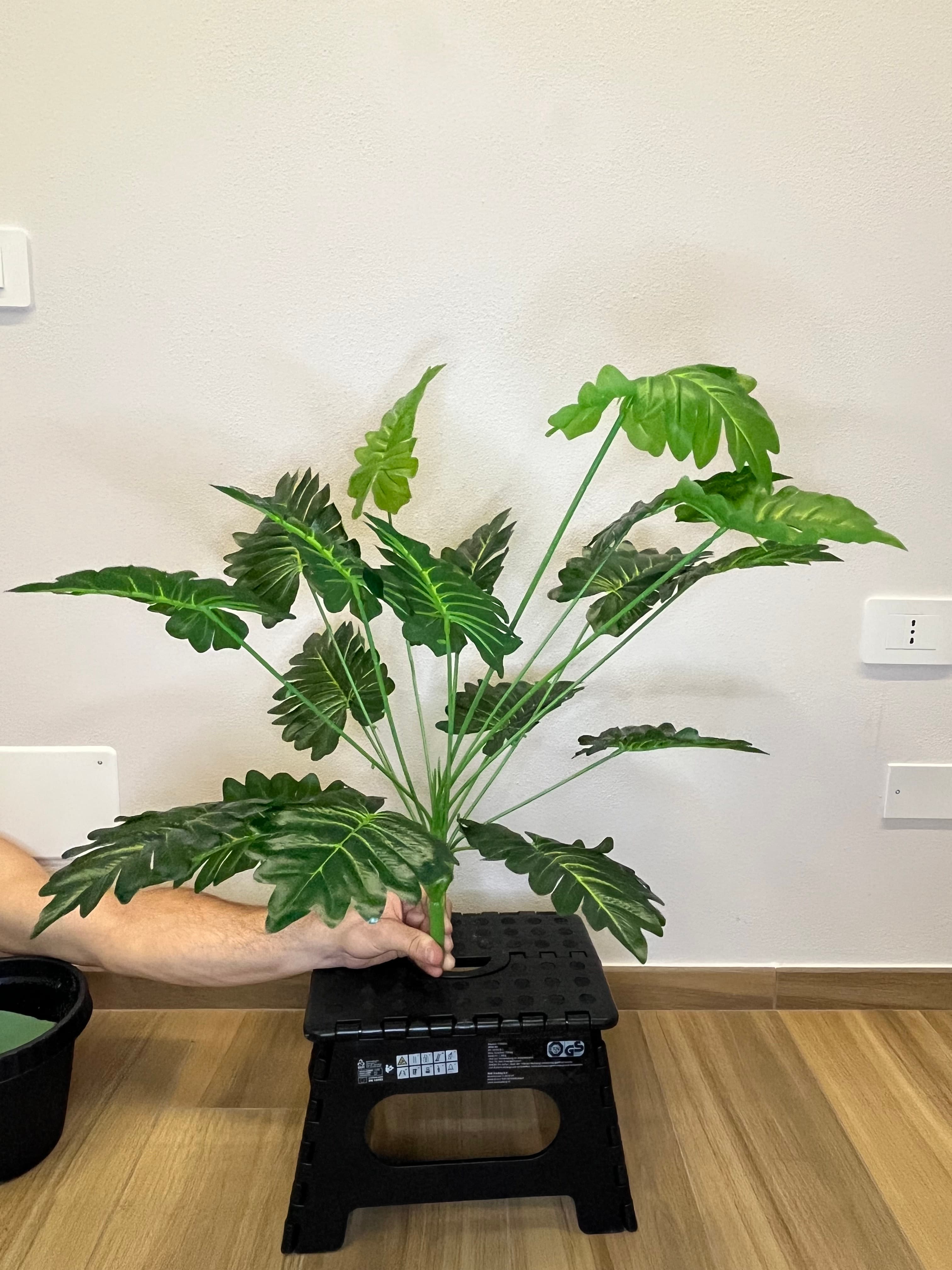 Giungla Tropicale 3