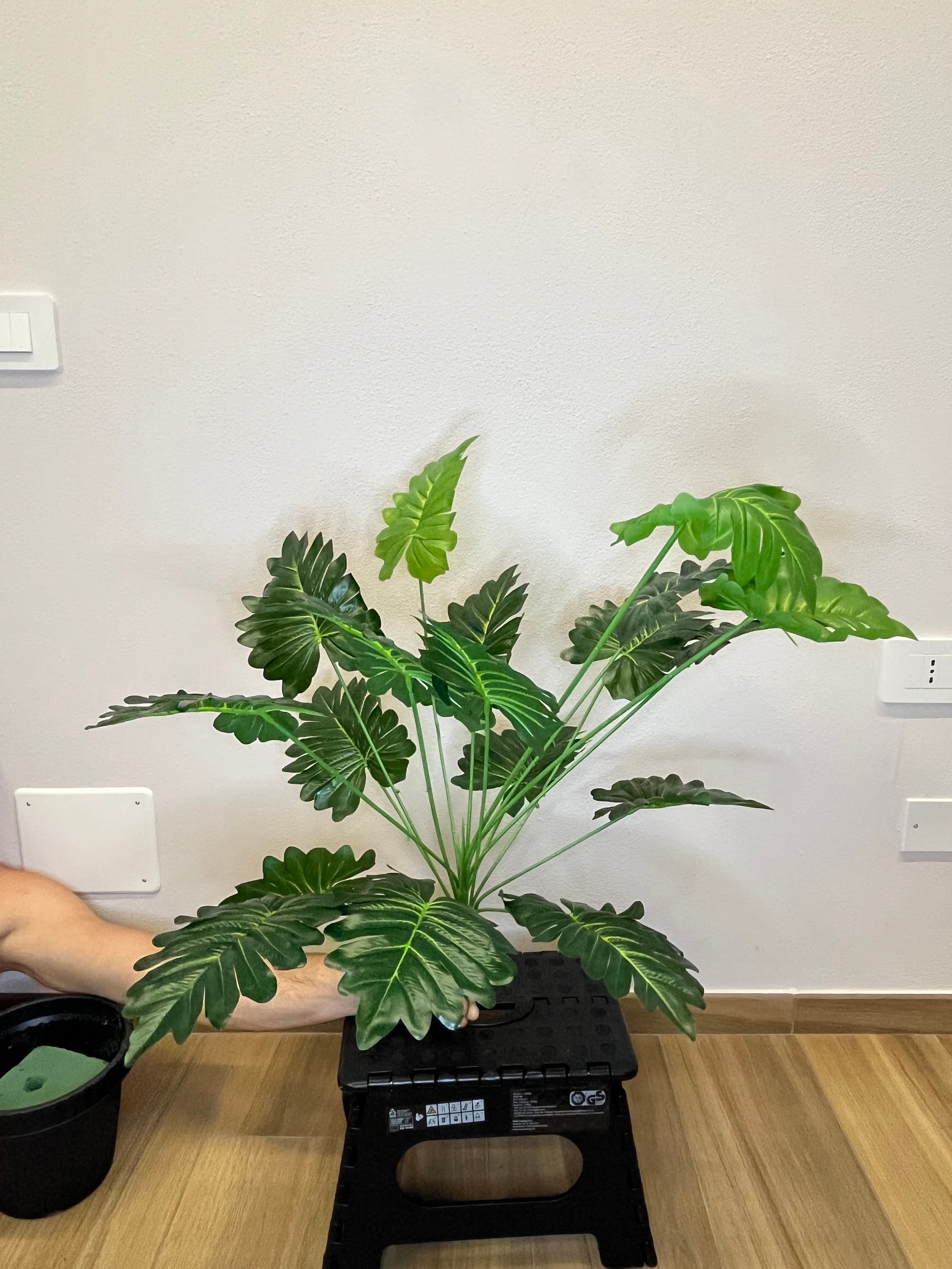 Giungla Tropicale 4