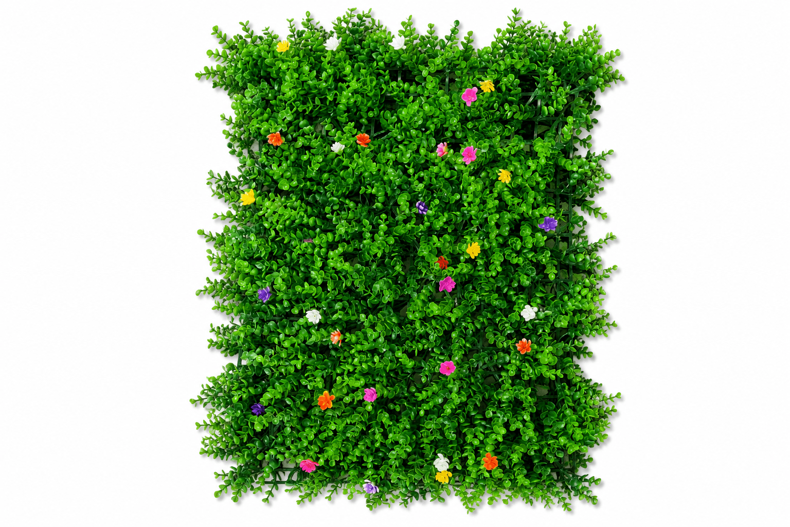 Bosso Fiorito